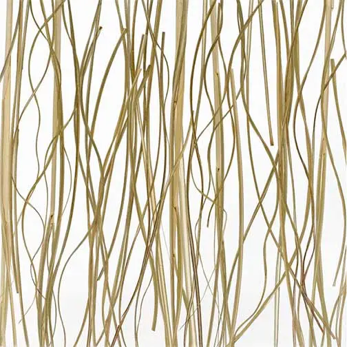 Prairie Grass — Architectural Resin Panels / Décor Collection