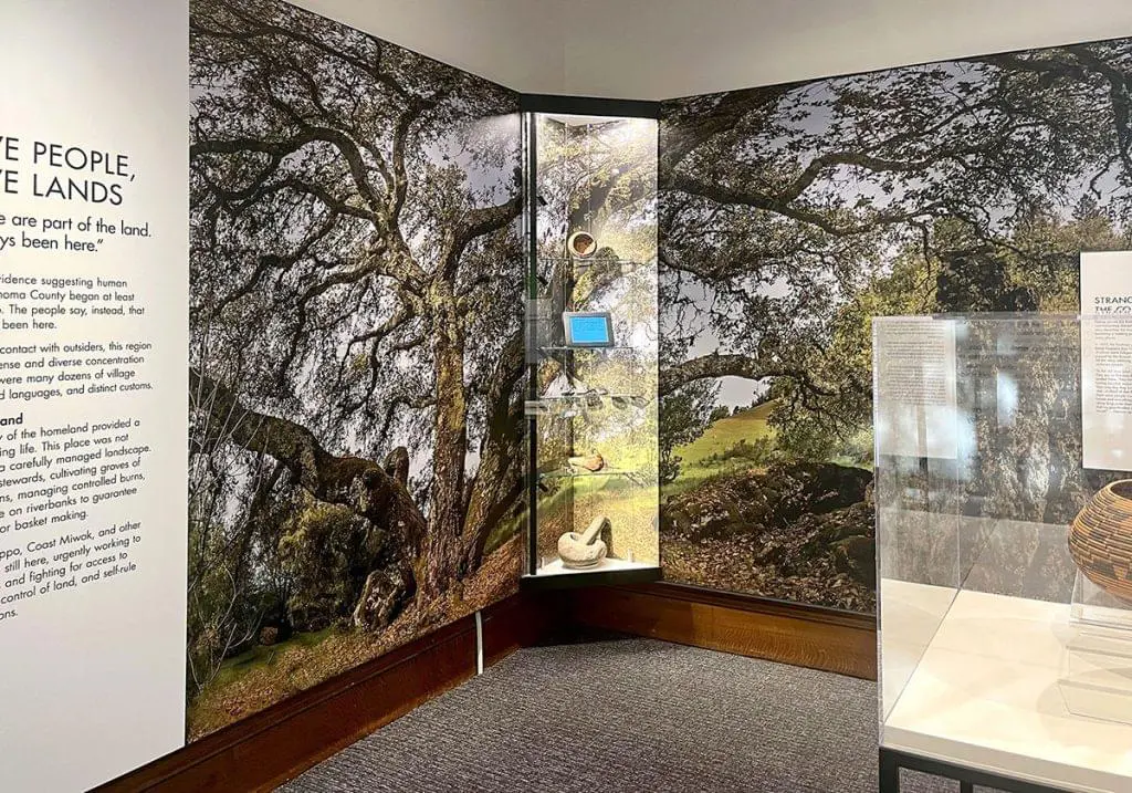 D1012 — Cable Suspended Glass Showcase for Museum