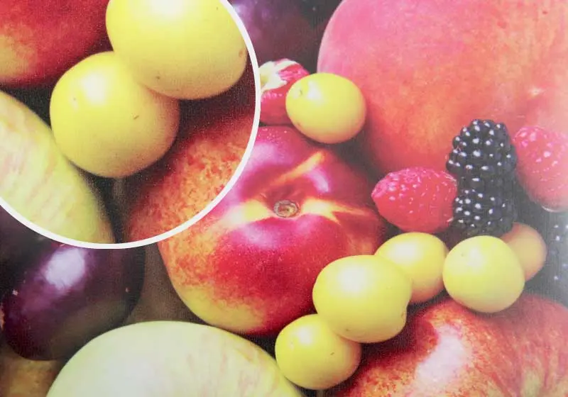 15mil Polyester Film Satin Ink-Jet Media