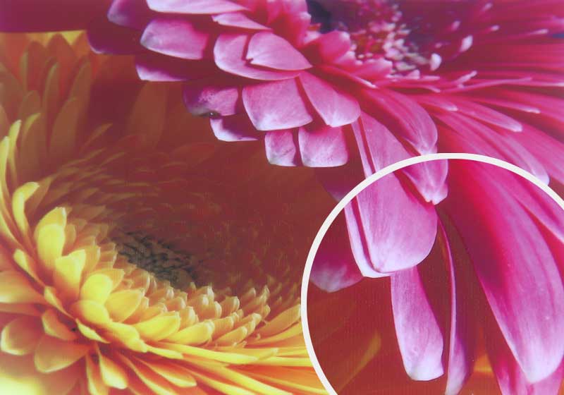 Matte Adhesive Backed Vinyl Ink-Jet-Media