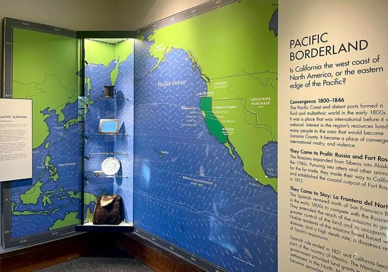 D1013 — Cable Suspended Glass Showcase for Museum