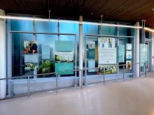 C1235 — Poster Graphics Suspended with Tension Cable Systems in a Corporate Environment