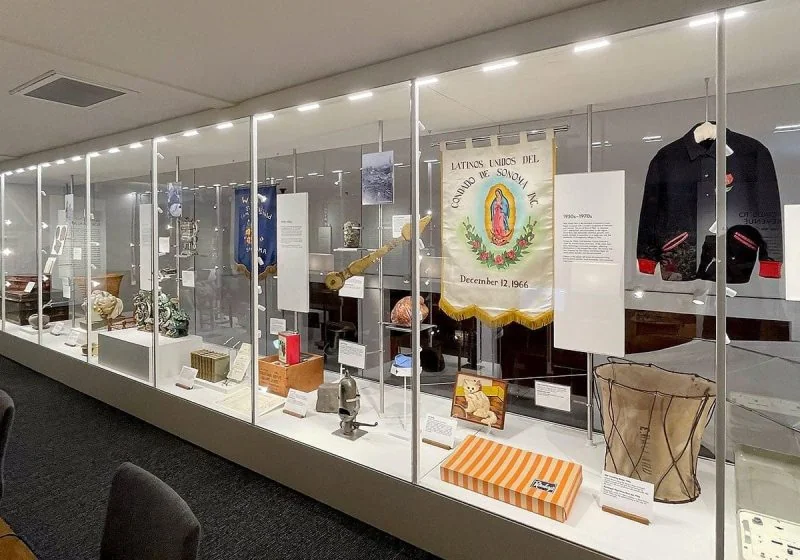 D1014 — Cable Suspended Glass Showcase for Museum D1014 — Cable Suspended Glass Showcase for Museum