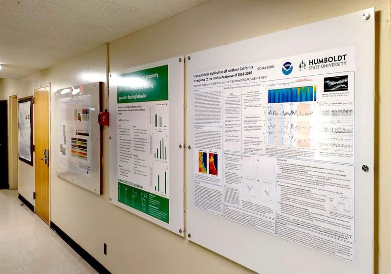 W2517 — Oversized Acrylic Poster Frames with Standoff Mounts for Humboldt State University